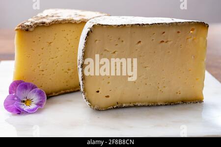 Collection de fromages, tomme de Savoie de Savoie dans les Alpes françaises, fromage de lait de vache doux avec intérieur beige et croûte épaisse gris brunâtre Banque D'Images