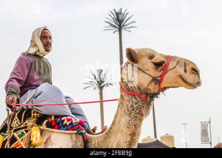 souk okaz festival culturel à taif, arabie saoudite Banque D'Images