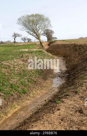 Eau de drainage des fossés récemment vidée des champs à la rivière Deben, Sutton, Suffolk, Angleterre, Royaume-Uni Banque D'Images
