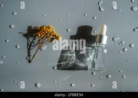 Vue de dessus du flacon de sérum en verre vierge avec pipette sur fond gris avec gouttes d'eau et petite fleur jaune. Banque D'Images