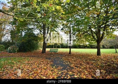 Paysage d'automne avec vue panoramique sur Adare Village Park à Limerick, Irlande. Banque D'Images