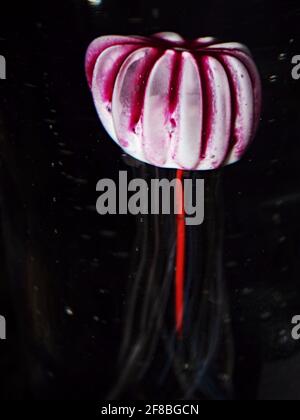 Monde marin de conte de fées en verre de cristal. Méduse dans un presse-papier en verre sur le bureau d'un directeur. Exposition de verre fait à la main Banque D'Images