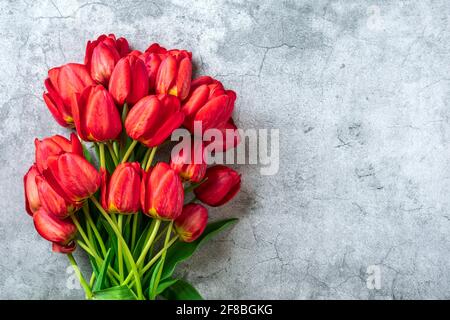 Rangée de tulipes rouges sur fond de béton avec espace pour le texte, message 8 Mars, Happy Valentine's Day, Mother's, Memorial, Journée des enseignants, Bonjour printemps Banque D'Images