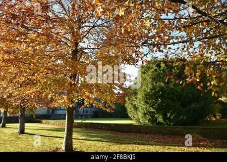 Paysage d'automne avec vue panoramique sur Adare Village Park à Limerick, Irlande. Banque D'Images