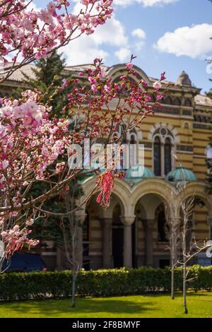 Martenitsa sur un arbre, tradition bulgare de printemps Banque D'Images