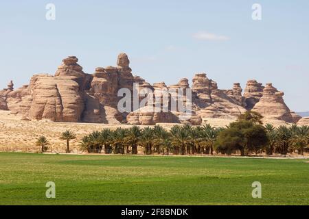 Paysage près d'Al Ula, Arabie Saoudite avec palmiers dattiers Banque D'Images