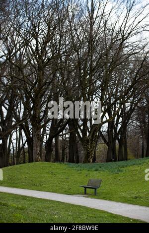 Bielefeld, Allemagne. 13 avril 2021. Un banc de parc vide peut être vu sur un chemin sur le Johannisberg. Le temps dans de grandes parties de la Rhénanie-du-Nord-Westphalie est actuellement variable avec une forte probabilité de pluie. Credit: Friso Gentsch/dpa/Alay Live News Banque D'Images