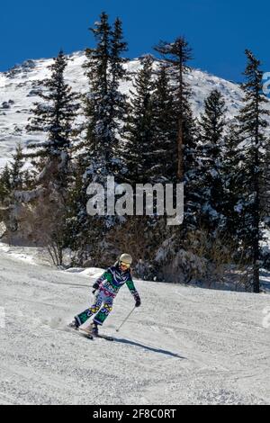 Skieur descendant la piste de ski, montagne Vitosha, Bulgarie, Banque D'Images