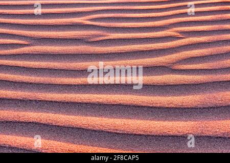 Lignes de sable harmonieuses dans le désert au coucher du soleil; modèles de vent bizarres dans la lumière douce du soleil couchant Banque D'Images