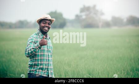Agriculteur africain debout dans le champ de riz biologique avec le sourire et Happy.Agriculture ou concept de culture Banque D'Images
