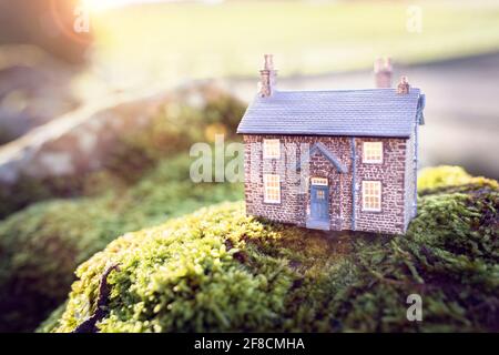 Modèle maison de campagne et arrière-plan de la maison dans la nature Banque D'Images