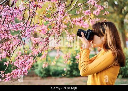 Jeune fille prenant des photos de fleurs d'arbre rose dans le stationner au printemps Banque D'Images