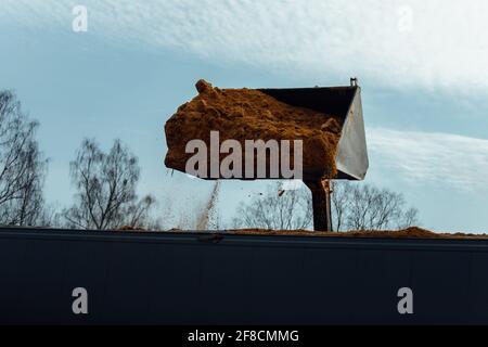 une pelle hydraulique industrielle charge la benne avec des matières premières. verser le sable du godet. le transport livre le chargement à l'usine Banque D'Images