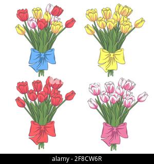 Ensemble vectoriel de fleurs de tulipe. Objets isolés sur blanc. Illustration de Vecteur