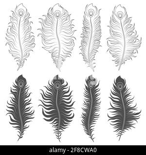 Ensemble d'illustrations vectorielles avec plumes de paon. Objets isolés sur fond blanc. Illustration de Vecteur