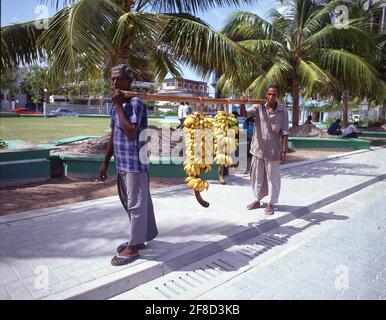 Hommes portant des bunches de bananes sur la perche, Malé, atoll du Nord de Malé, République des Maldives Banque D'Images