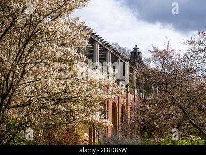 Jardin de Pergola photographié au printemps avec les arbres et les arbustes en fleur, à Hampstead Heath, dans le nord de Londres Banque D'Images