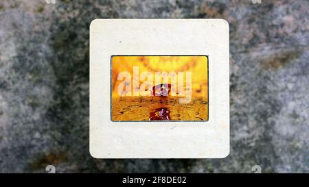 Bague d'or sur la feuille de musique se reflétant dans l'eau sur le millésime film de diapositive Banque D'Images