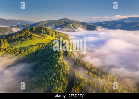 Montagnes dans les nuages au lever du soleil en été. Vue aérienne du sommet de la montagne avec arbres verts dans le brouillard. Magnifique paysage avec de hautes roches, forêt, ciel. Haut Banque D'Images