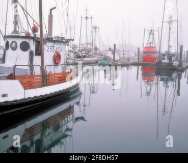 La levée du brouillard matinal révèle la flotte de pêche commerciale à Charleston Harbour, sur la côte sud de l’Oregon, près de Coos Bay. Banque D'Images