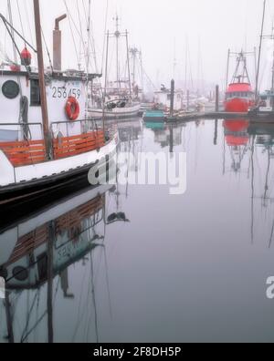 La levée du brouillard matinal révèle la flotte de pêche commerciale à Charleston Harbour, sur la côte sud de l’Oregon, près de Coos Bay. Banque D'Images