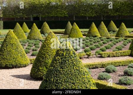 The formel Cherry Garden at Ham House, Richmond upon Thames, Londres, Royaume-Uni, avec des haies et de la lavande plantées dans une grille. Banque D'Images