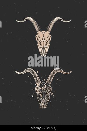 Illustration vectorielle avec deux variantes du crâne de chèvre dessiné à la main sur fond noir. Silhouettes dorées et contour avec texture grunge. Pour votre conception, Illustration de Vecteur