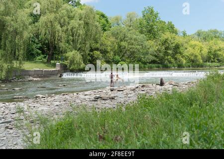 En plein air peintre près du lit de la rivière Humber, Toronto Banque D'Images