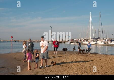 Sans laisse 'dog beach' à Brighton, sur la baie de Port Phillip, Melbourne, Australie Banque D'Images