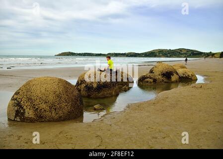 Les Moeraki Boulders sont exceptionnellement grandes et rochers sphériques situées le long d'un tronçon de la Koekohe plage sur la côte d'Otago coupé de la Nouvelle-Zélande entre Banque D'Images