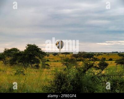 Parc national de Serengeti, Tanzanie, Afrique - 29 février 2020 : ballon à air chaud au-dessus de la Savannah, parc national de Serengeti Banque D'Images