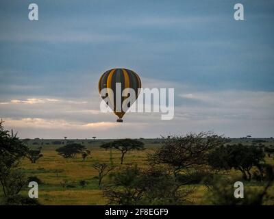 Parc national de Serengeti, Tanzanie, Afrique - 29 février 2020 : ballon à air chaud au-dessus de la Savannah, parc national de Serengeti Banque D'Images