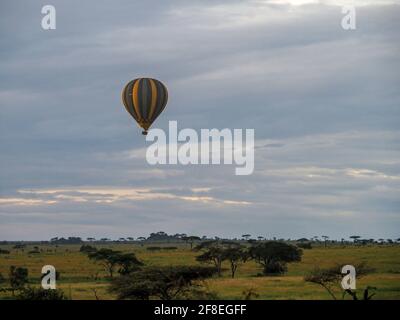 Parc national de Serengeti, Tanzanie, Afrique - 29 février 2020 : ballon à air chaud au-dessus de la Savannah, parc national de Serengeti Banque D'Images