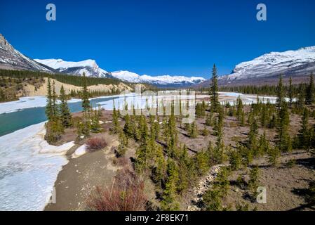 Saskatchewan River Crossing est une localité de l'ouest de l'Alberta, au Canada. Il est situé dans le parc national Banff, à la jonction de l'autoroute 93 (Icefield) Banque D'Images