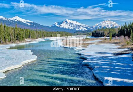 Saskatchewan River Crossing est une localité de l'ouest de l'Alberta, au Canada. Il est situé dans le parc national Banff, à la jonction de l'autoroute 93 (Icefield) Banque D'Images