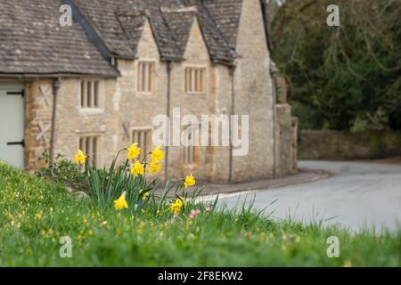 Jonquilles printanières dans le village de cotswold, Upper Slaughter. Cotswolds, Gloucestershire, Angleterre Banque D'Images