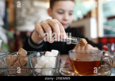 Enfant prenant un morceau de sucre avec des pinces au restaurant Banque D'Images