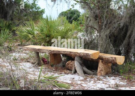 Travail rusé d'un banc fait à la main à partir d'un chêne avec des souches d'arbre dans un parc à l'extérieur. Banc en bois, mobilier d'extérieur. Travail de menuisier. Banque D'Images