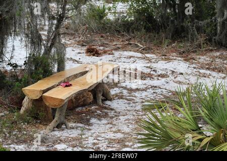 Travail rusé d'un banc fait à la main à partir d'un chêne avec des souches d'arbre dans un parc à l'extérieur. Banc en bois, mobilier d'extérieur. Travail de menuisier. Banque D'Images