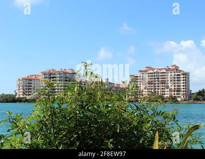 Vue de fond des condominiums Palazzo Del sol à Fisher Island près du port maritime de Miami à South Pointe Beach à Miami Beach, Floride avec un grand arbre Banque D'Images