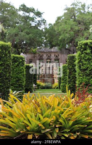 Jardins extérieurs italiens, arrière-plan flou, concentration sur les feuilles de plantes. Banque D'Images