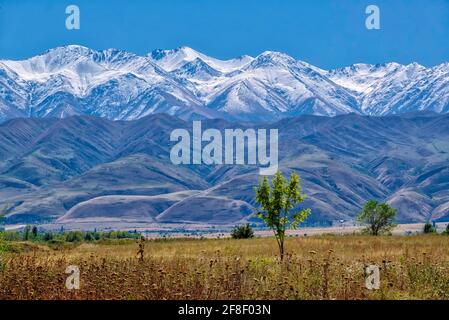 Un point de vue à la région d'Issyk-Kul, Kyrgizstan pris @Issyk-Kul région, Kyrgiztan Banque D'Images