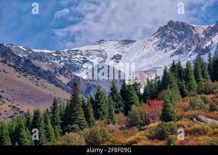 Les arbres verts d'automne et les montagnes enneigées du parc national d'Ala Archa ont pris @Ala Archa National Park, Kyrgiztan Banque D'Images