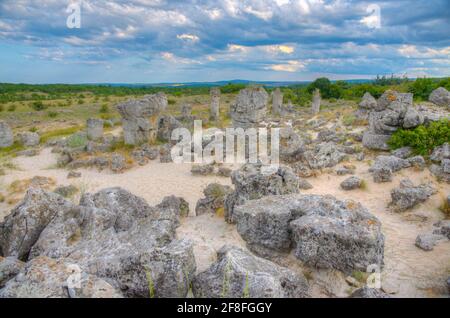 Forêt de pierres près de Varna, Bulgarie Banque D'Images