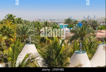 Palmiers et parasols sur les îles Jumeirah à Dubaï Banque D'Images