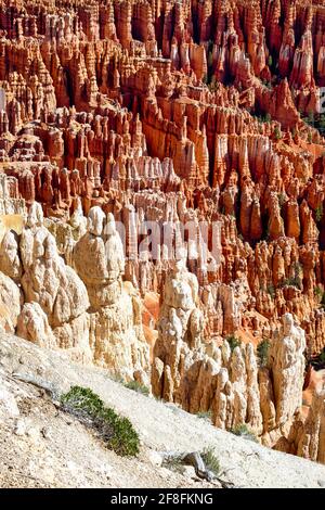 Point d'inspiration dans le parc national de Bryce Canyon. Utah États-Unis Banque D'Images