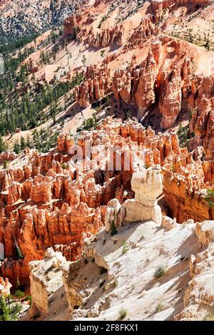 Point d'observation de Bryce dans le parc national de Bryce Canyon. Utah États-Unis Banque D'Images