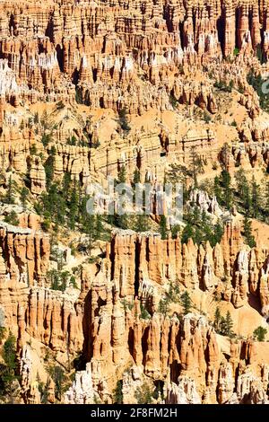 Point d'observation de Bryce dans le parc national de Bryce Canyon. Utah États-Unis Banque D'Images