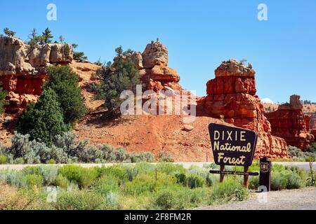 L'entrée de la forêt nationale de Dixie. Utah. ÉTATS-UNIS Banque D'Images