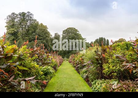 Long chemin de jardin étroit menant à travers le lit de fleur avec de grandes plantes à fleurs. Banque D'Images